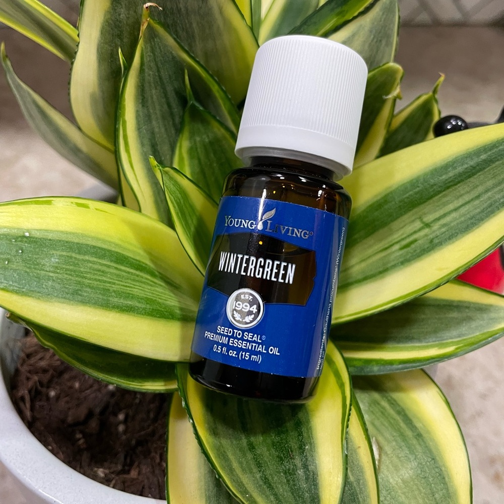 Young Living Wintergreen Essential Oil